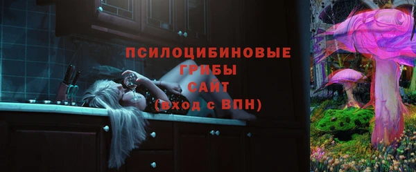 ПСИЛОЦИБИНОВЫЕ ГРИБЫ Балахна