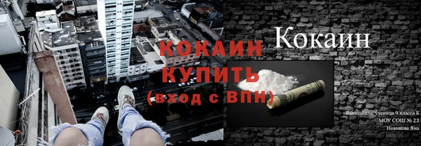 индика Армянск