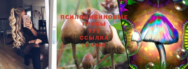 индика Армянск