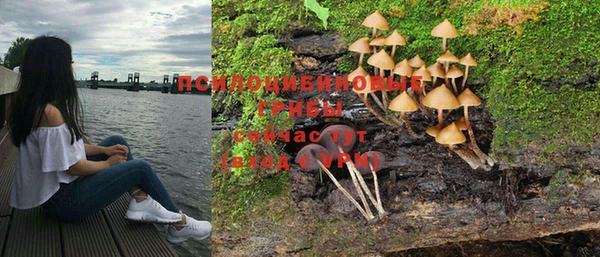 ПСИЛОЦИБИНОВЫЕ ГРИБЫ Балахна